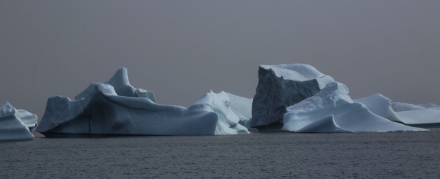Iceberg (46)