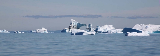 Iceberg (71)