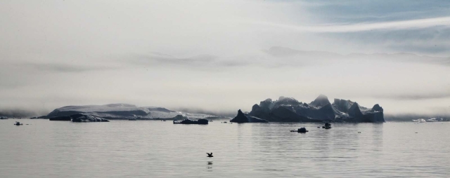 Iceberg (101)