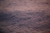 Oceano (14)