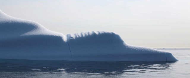 Iceberg (21)