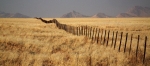 Namibia  - Fences and mountains
